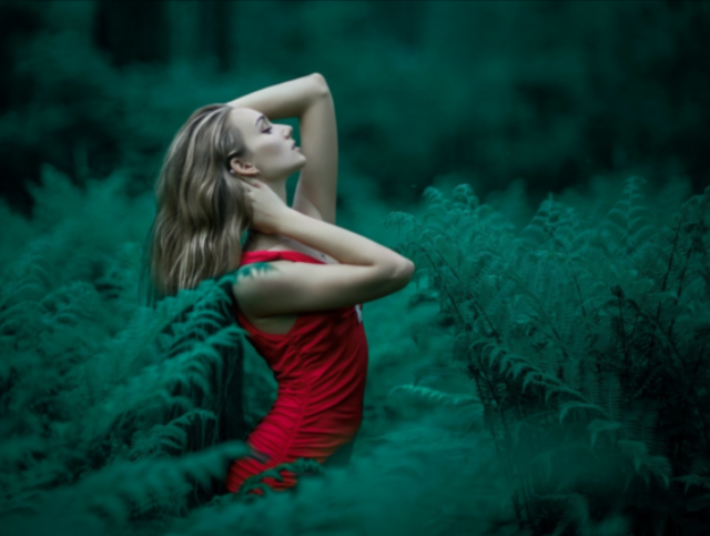 Image of a Lady in red dress in a forest