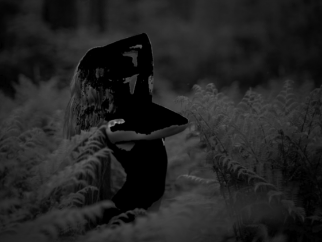 Grayscale background of forest after applying our image mask